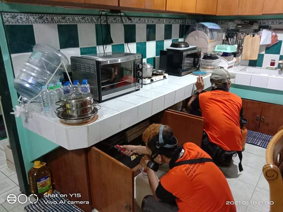 Two Pest Assassins technicians in orange uniforms performing cabinet maintenance in a residential kitchen with green checkered backsplash and countertop appliances.